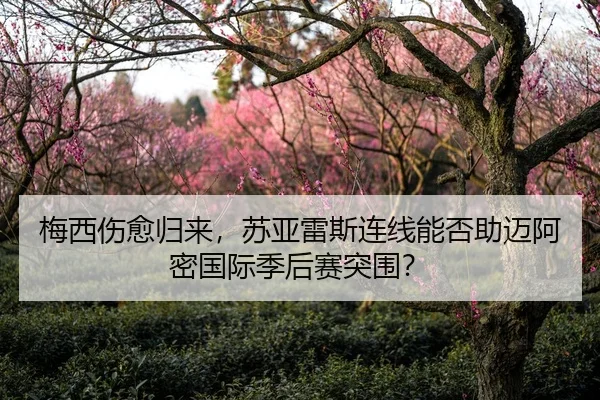 梅西伤愈归来，苏亚雷斯连线能否助迈阿密国际季后赛突围？