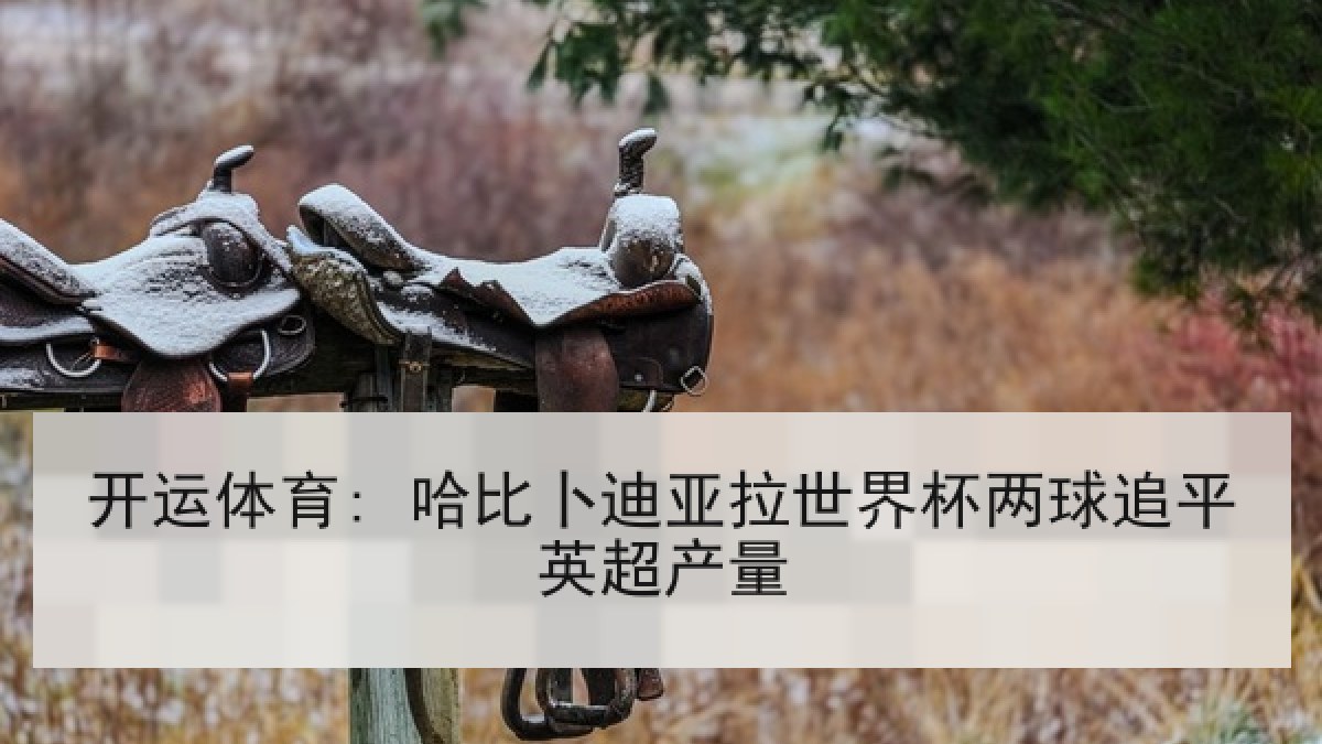 开运体育: 哈比卜迪亚拉世界杯两球追平英超产量