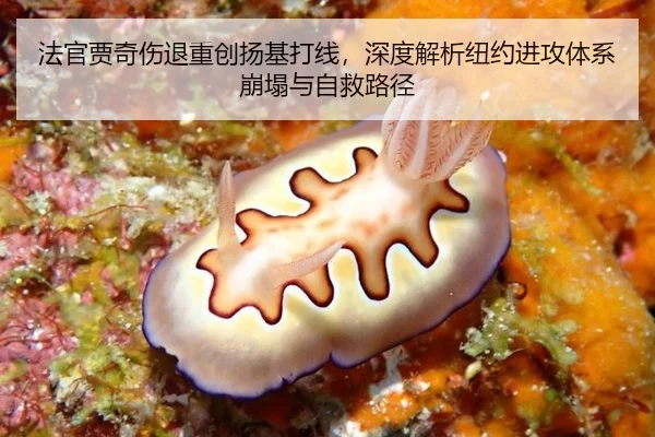 fa-guan-jia-qi-shang-tui-zhong-chuang-yang-ji-da-xian-shen-du-jie-xi-niu-yue-jin-gong-ti-xi-beng-ta-yu-zi-jiu-lu-jing-3-321.jpg