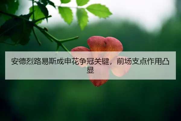 an-de-lie-lu-yi-si-cheng-shen-hua-zheng-guan-guan-jian-qian-chang-zhi-dian-zuo-yong-tu-xian-2-636.jpg
