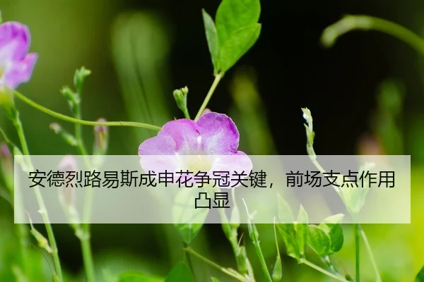 an-de-lie-lu-yi-si-cheng-shen-hua-zheng-guan-guan-jian-qian-chang-zhi-dian-zuo-yong-tu-xian-3-448.jpg