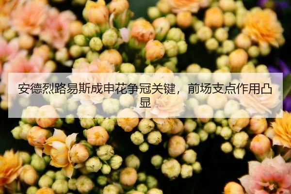 安德烈路易斯成申花争冠关键，前场支点作用凸显